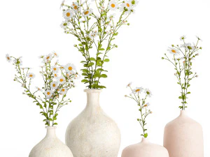 Set of bouquets of white wildflowers chamomile daisies 414 3D Model
