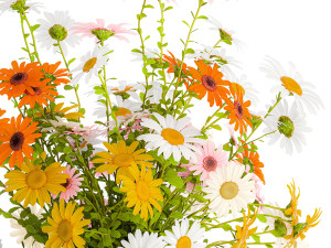 Bouquet of wildflowers chamomile daisies in a vase 415 3D 모델