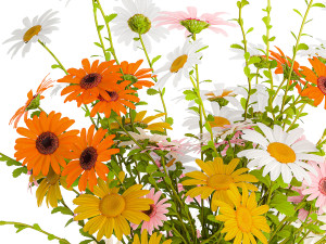 Bouquet of wildflowers chamomile daisies in a vase 415 3D 모델