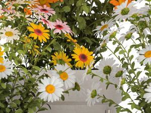 Set of garden flower bushes Chamomile Chrysanthemum 1472 3D-Modell