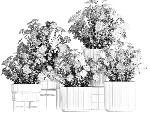 Set of garden flower bushes Chamomile Chrysanthemum 1472 3D-Modell