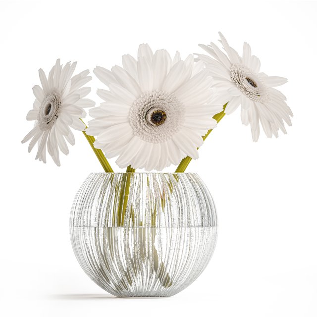 Small Bouquet Of White Flowers Zerbera Gerbera 416 3D 모델 .c4d .max .obj .3ds .fbx .stl .blend 