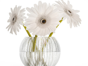 Small Bouquet Of White Flowers Zerbera Gerbera 416 3D Model