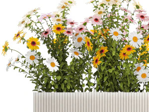 Set tuinbloemenstruiken Kamille Chrysant 1473 3D Model
