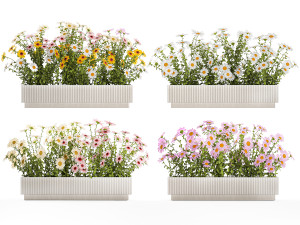 Set of garden flower bushes Chamomile Chrysanthemum 1473 Modèle 3D