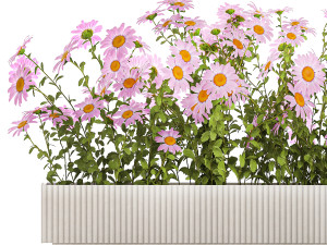 Set of garden flower bushes Chamomile Chrysanthemum 1473 Modèle 3D