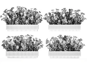 Set tuinbloemenstruiken Kamille Chrysant 1473 3D Model