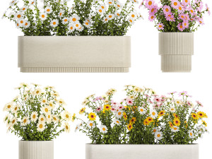 Set of garden flower bushes Chamomile Chrysanthemum 1474 3D मॉडल