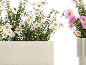 庭の花の茂みのセット カモミール菊 1474 3Dモデル