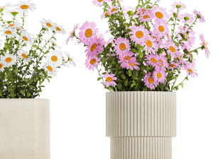 Set of garden flower bushes Chamomile Chrysanthemum 1474 Model 3D