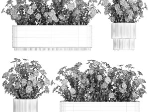 Set of garden flower bushes Chamomile Chrysanthemum 1474 Model 3D