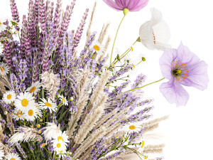 Bouquet of wildflowers lavender chamomile poppy pampas 417 Modèle 3D