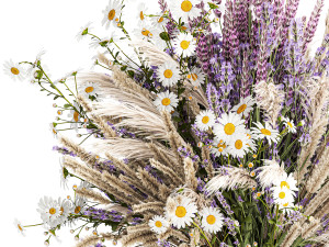 Bouquet of wildflowers lavender chamomile poppy pampas 417 Modèle 3D