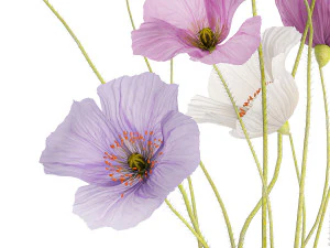 Small bouquet of wildflowers in a vase with poppy 418 3D Model