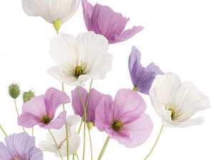 Small bouquet of wildflowers in a vase with poppy 418 3D Model