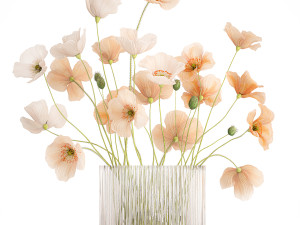 Bouquet of wildflowers in a glass vase with poppy 419 3D Model