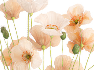 Bouquet of wildflowers in a glass vase with poppy 419 Modèle 3D