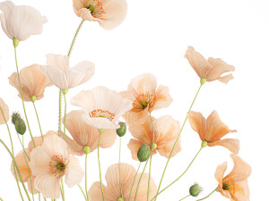 Bouquet of wildflowers in a glass vase with poppy 419 Modèle 3D