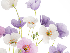 Bouquet of wildflowers in a glass vase with poppy 420 3D मॉडल