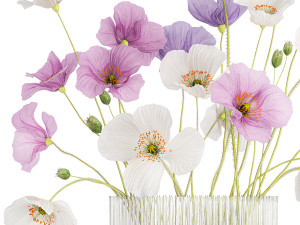 Bouquet of wildflowers in a glass vase with poppy 420 3D मॉडल