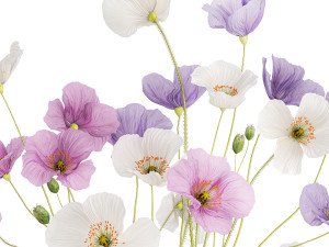 Bouquet of wildflowers in a glass vase with poppy 420 3D मॉडल