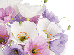 Bouquet of wildflowers in a glass vase with poppy 420 Modèle 3D