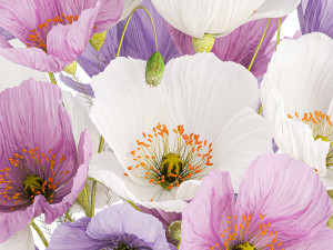 Bouquet of wildflowers in a glass vase with poppy 420 Modèle 3D