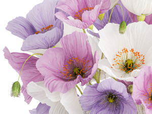 Bouquet of wildflowers in a glass vase with poppy 420 Modèle 3D
