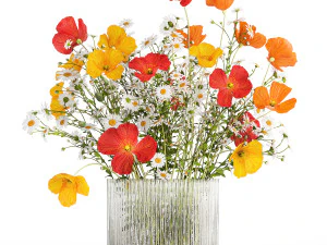 Bouquet de fleurs sauvages Coquelicot camomille marguerites 422 Modèle 3D