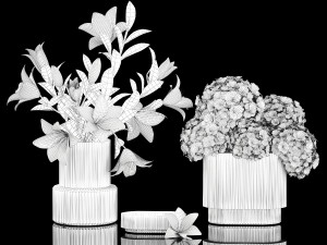 Set of bouquets hydrangea poppy chamomile wheat 423 3D Модель