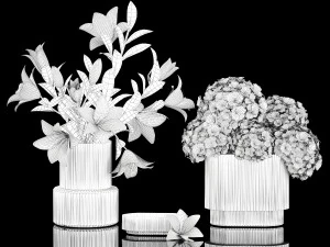 Set of bouquets hydrangea poppy chamomile wheat 423 3D Model