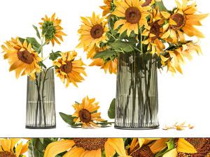 Bouquets of flowers Peonies Sunflower roses vase 428 Modelo 3D