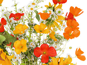 Bouquet Of Wildflowers Poppy Chamomile Sunflower 429 3D Model