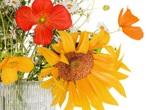 Bouquet Of Wildflowers Poppy Chamomile Sunflower 429 3D Model