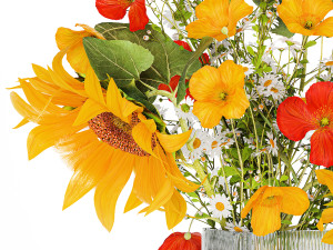 Bouquet Of Wildflowers Poppy Chamomile Sunflower 429 3D Model