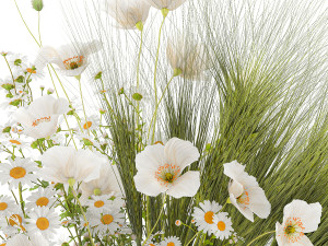 Summer bouquet of wildflowers poppy chamomile wheat 430 3Dモデル