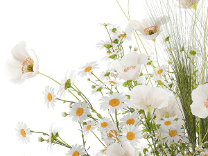 Summer bouquet of wildflowers poppy chamomile wheat 430 3D Model