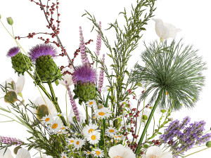 Bouquet of wildflowers poppy chamomile lavender thistle 431 3D Model