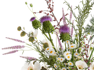 Bouquet of wildflowers poppy chamomile lavender thistle 431 3D Model