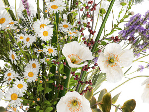 Bouquet of wildflowers poppy chamomile lavender thistle 431 3D Model