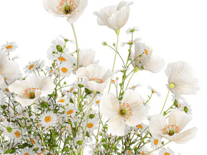 Bouquet of white wildflowers Poppy daisy in a vase 432 3D Model