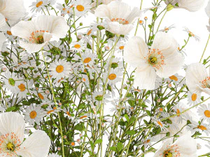 Bouquet of white wildflowers Poppy daisy in a vase 432 3D Model