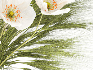 Small bouquet of wildflowers poppy wheat vase 434 3D-Modell