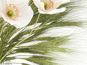 Small bouquet of wildflowers poppy wheat vase 434 3D Model