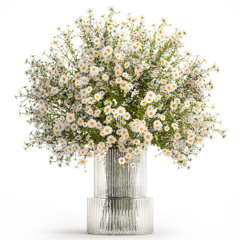 Bouquet White Wildflowers Chamomile Daisies Vase 436 3D Model .c4d .max .obj .3ds .fbx .stl .blend 