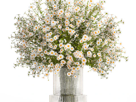 Buket Vas Bunga Aster Chamomile Bunga Liar Putih 436 Model 3D