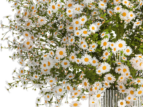 Bouquet White Wildflowers Chamomile Daisies Vase 436 3D Model