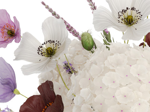 Beautiful bouquet of wild flowers Hydrangea Lavender Poppy Gerbera Modelo 3D