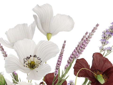 Beautiful bouquet of wild flowers Hydrangea Lavender Poppy Gerbera Modelo 3D