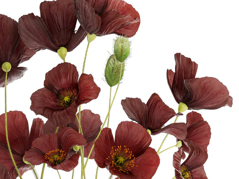 Beautiful bouquet of wild flowers in a vase with Poppy 3D Model